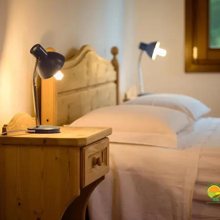 La Via Antiga Cittanova (Veneto)