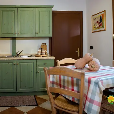 La Via Antiga Cittanova (Veneto)