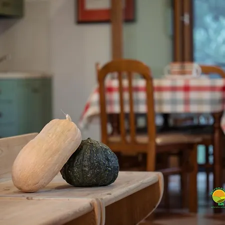 Apartmán La Via Antiga