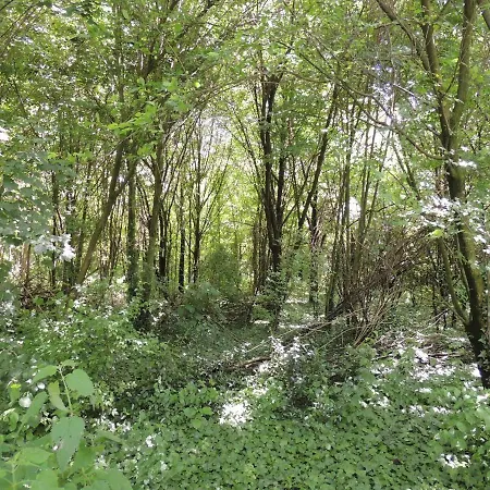 La Via Antiga Cittanova (Veneto)