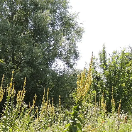 La Via Antiga Cittanova (Veneto)