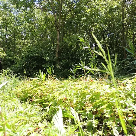 La Via Antiga * Cittanova (Veneto)