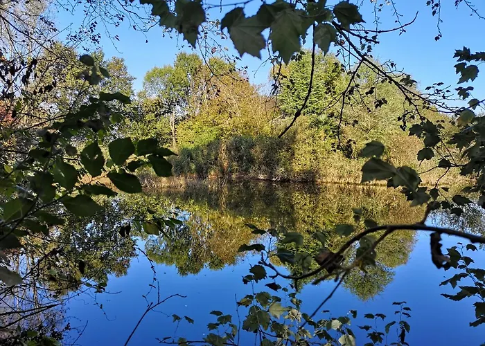La Via Antiga Διαμέρισμα Cittanova (Veneto)