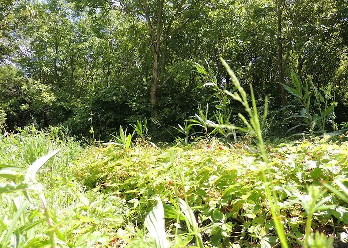 La Via Antiga * Cittanova (Veneto)