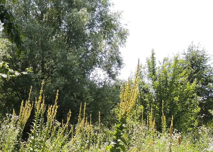 La Via Antiga Cittanova (Veneto)